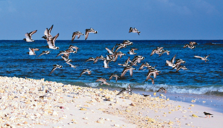 �_����Ѳ�(du��)�T�Ĕz̫ƽ�u�����߼t �W(w��ng)�ѸЇ@������ƻ�