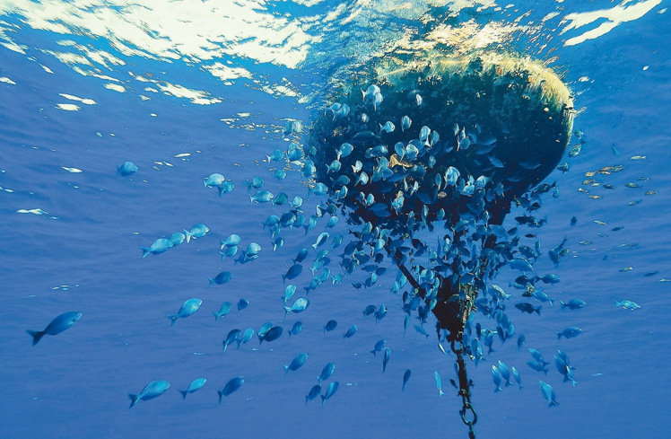 �_����Ѳ�(du��)�T�Ĕz̫ƽ�u�����߼t �W(w��ng)�ѸЇ@������ƻ�