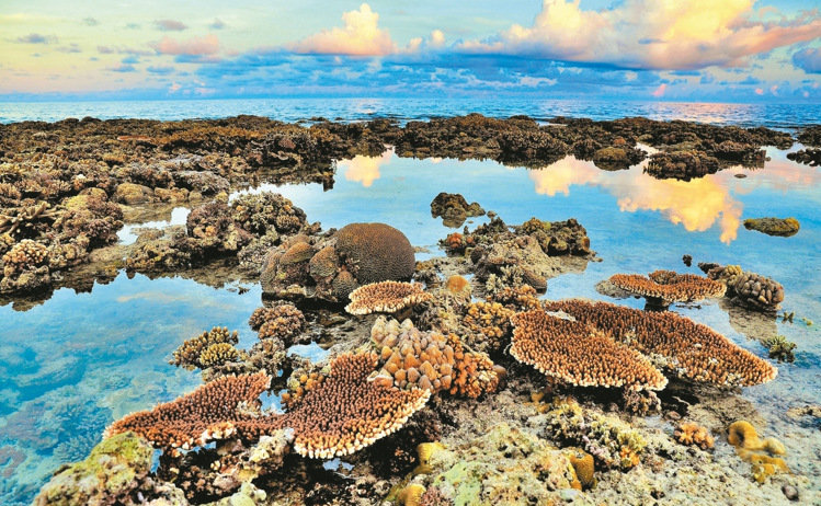 �_����Ѳ�(du��)�T�Ĕz̫ƽ�u�����߼t �W(w��ng)�ѸЇ@������ƻ�