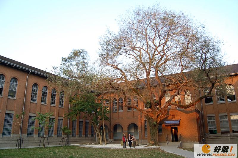 臺(tái)大校園風(fēng)光 臺(tái)大校園風(fēng)光
