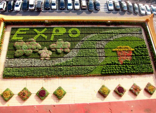 �_���Aɽ�����2�Ǒ����O(sh��)���л��@��2800��ֲ�Ժ���(y��ng)�������}��׌ס�Ͷ���1�����e����Ŀ��g