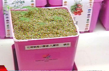 �����̵���ļo(j��)��Ʒ�V����ϲ�����DƬ��Դ���_(t��i)��TVBS�ҕ�_(t��i)