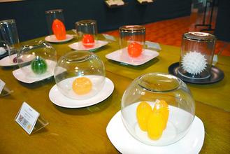 臺南市舉辦蝴蝶特展 巨型蝶卵如木瓜 臺南市舉辦蝴蝶特展 巨型蝶卵如木瓜