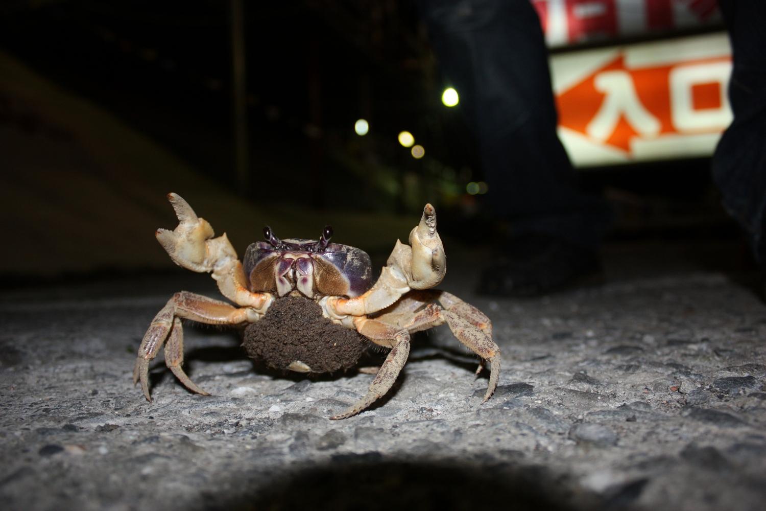 �DƬ��(l��i)Դ���ЏV���W(w��ng)