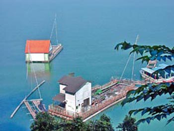 ����̶���ݽ������������������^��ˮ���������ɘO�����_���DƬ��Դ���_�����Ї��r��