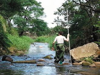 ��������;W(w��ng)�Ѽs��(hu��)�����гɃɰ롱���D��