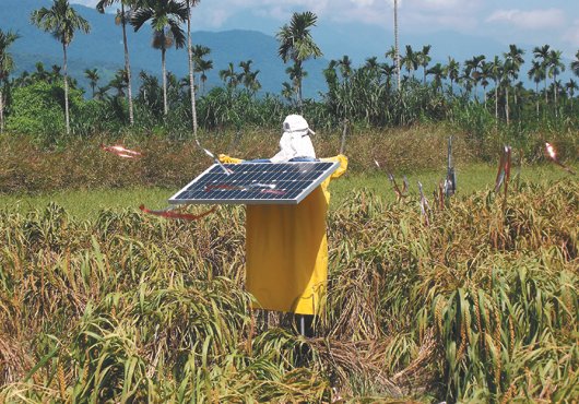 �����˱���Q������䡱ȫ��o���J(r��n)���s�B