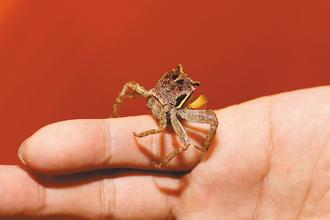 �_���������@��ͨ����9���o�з�º���ֳ���D��