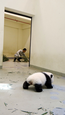 ����؈�������A�С��W(xu��)���ϰ֡��F(tu��n)�F(tu��n)��Ҳ�u��