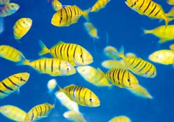 �_(t��i)���ɹ���ֳ��(f��)�����S���~����ǧβ���~�ǳ�����