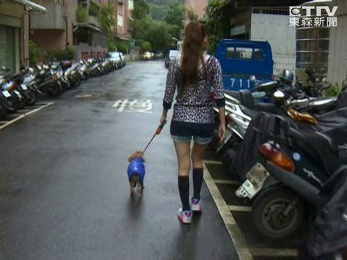 Ů�����Rβ����ѝ�޹��ɐ������W(w��ng)�j(lu��)���t���D��