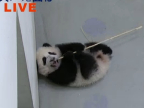 �_(t��i)������؈����ֱ�������{(di��o)Ƥ������ˣ�������D��