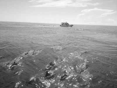 �_���O�I(y��)������ֵ·�����p�L������͘�����洹�