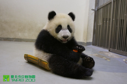 �_(t��i)������؈���A�С���������(zh��n)���M(j��n)܊����չ��(ch��ng)���D��