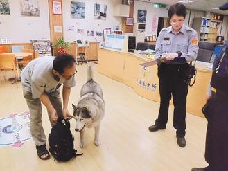 �ɟṷ�����~��̫���ʿ��ه�̵겻�ߣ��D��