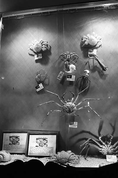 �_���r(n��ng)�����Ҽ��н^�