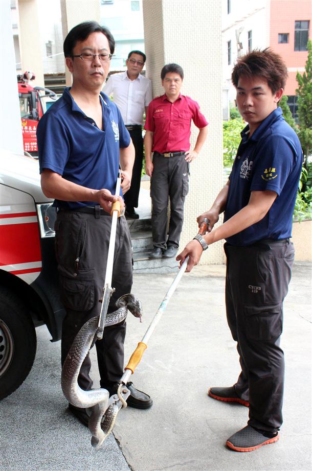 �����ˆTʹ�M���N�������������1�l�L(zh��ng)��1�����R�ߡ�