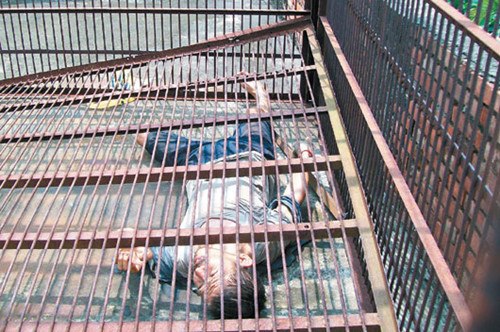 ���������±��F�|(zh��)���\�����ԷQ�����c��������