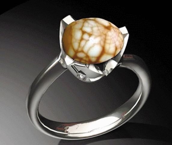 �W(w��ng)�ѐ�����~���Ÿ��D�����W(w��ng)�j(lu��)�D��