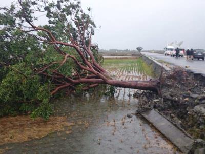 �^�⾰�c(di��n)���_(t��i)�|���ϡ�������(sh��)����������ķ������