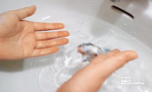 ���128���͂}��17�ξW(w��ng)��ŭ�QҪ�����������D��