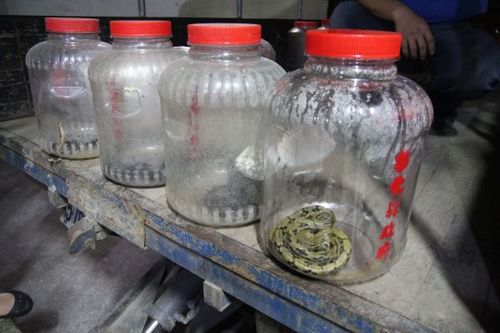 �����(n��i)�д������������ǐ��������D��