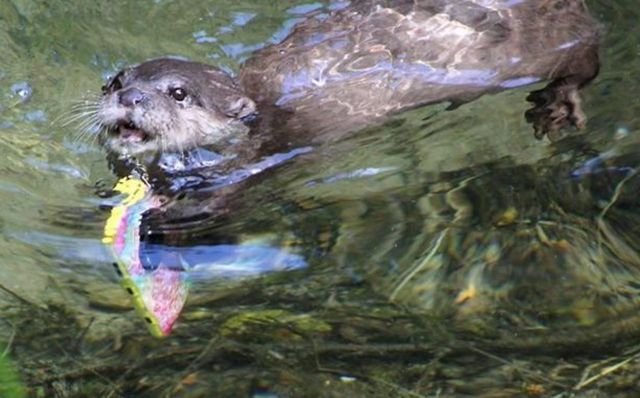 �ο�iPhone�֙C���Mˮ������ˮ�H�͓�؁���