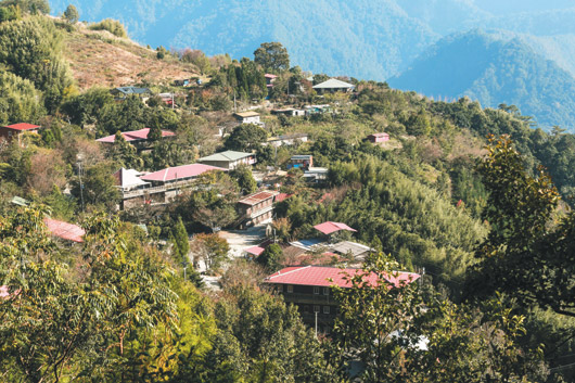 臺(tái)媒:實(shí)行社會(huì)主義 黑暗部落變最賺部落 臺(tái)媒:實(shí)行社會(huì)主義 黑暗部落變最賺部落