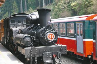 �_(t��i)������ɽɭ���F·102�q ʥ�Q��(ji��)���؆��uľ܇��(�D)