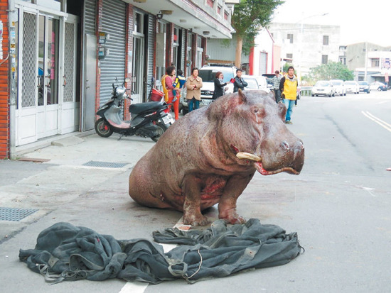 ���޴���R�����ӡ���؛��܇��������܇�����_ײ·߅��ɫ�I܇������Ѫ�E