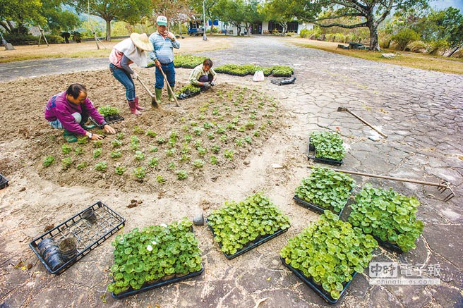 臺灣缺水就休耕 農(nóng)民淪為犧牲角色怨聲四起 臺灣缺水就休耕 農(nóng)民淪為犧牲角色怨聲四起