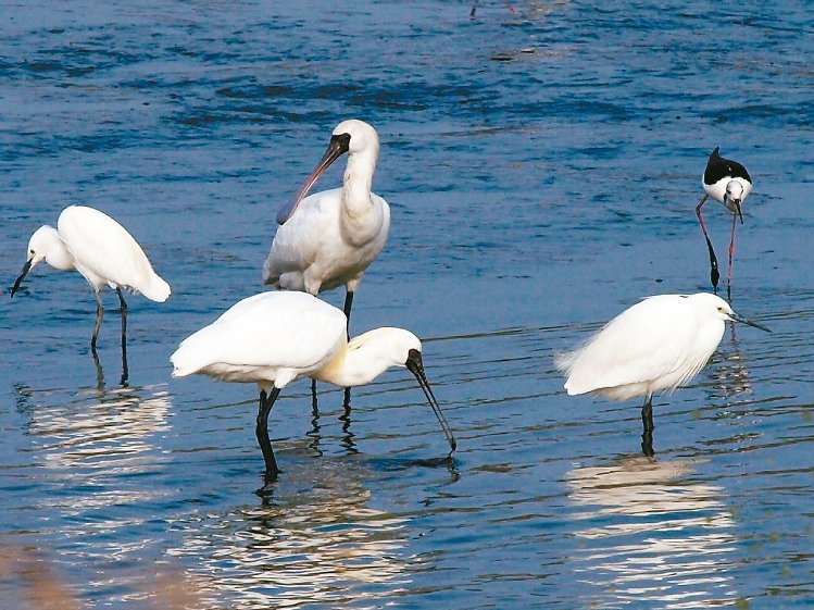 �_���������߅^(q��)�U��14�h�� �_�|�S��