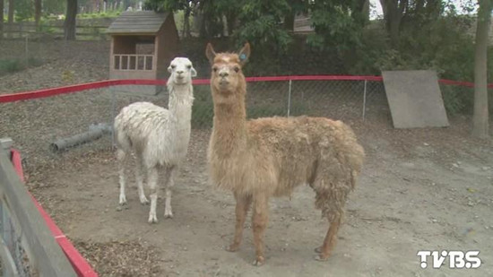 �û�����ݳ�Ƥ���� �οͲ��̡��K����D��