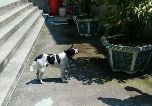 ����Ů��܇��?zh��n)�����С������ǰ���?����ɳ���̽��