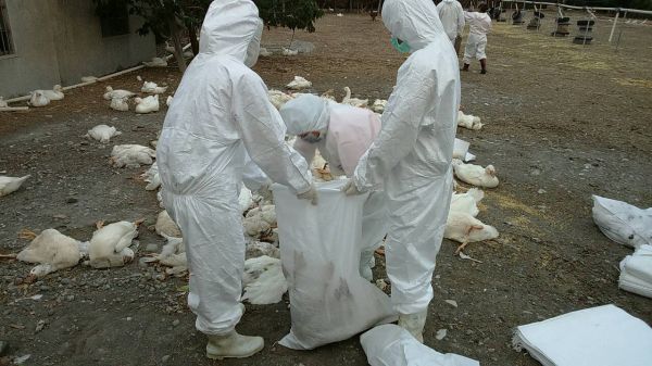 ��ⲻ��(w��n)���û��h���������������DƬ��(l��i)Դ���_(t��i)���ЏV���W(w��ng)��