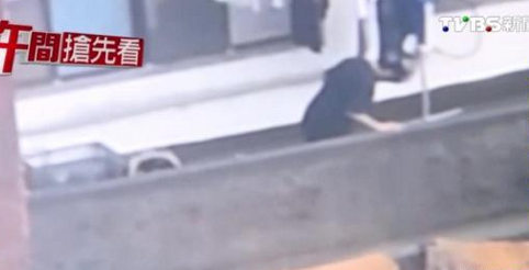 �����Լ��(y��ng)�_(t��i)Ű������ˤ���b���ӵ������әz�e