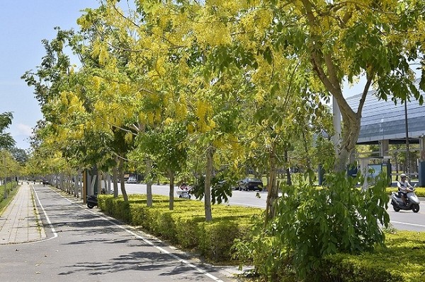 ���۵İ����՟���ʢ���������_ý�D��