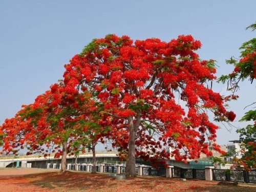 �_(t��i)�ϻ��_(k��i)�M�� �P�˻��������ՠ�(zh��ng)�ข(j��ng)�G(�D)