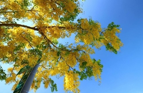 �_(t��i)�ϻ��_(k��i)�M�� �P�˻��������ՠ�(zh��ng)�ข(j��ng)�G(�D)