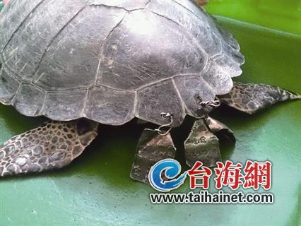 �G�P�����F�Ʊ����� ���l(f��)�_��������h(�D)