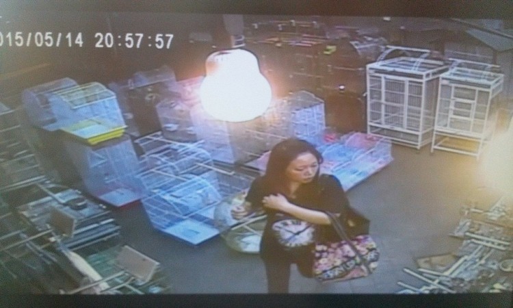 女子被監(jiān)控拍到徒手偷鸚鵡 辯稱:夢游中不知在干嘛 女子被監(jiān)控拍到徒手偷鸚鵡 辯稱:夢游中不知在干嘛