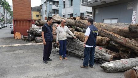 臺(tái)男子想賺臺(tái)風(fēng)財(cái)擅自打撈漂流木被逮捕(圖)