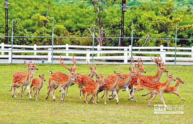 �㴺÷��¹��(f��)���гɅs���������g���(zh��n)������һ�ɽY(ji��)����