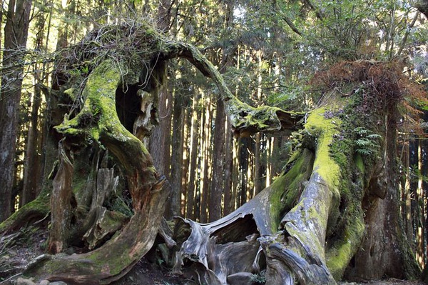 ����ɽ ���c(di��n) ���Y(ji��)ͬ��