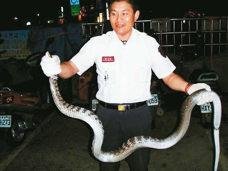 ��p�p�����ˆT�I(y��)��ؓ�����҈@19�ճ���ȫ�_��֧�o�����o������׽�ߣ�����������D�������ˆT׽�ߵ����Ρ�����(li��n)�ψ󡷈D��