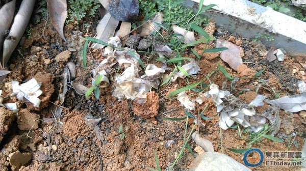 巨蛇為避追捕偽裝蓮蓬頭 網(wǎng)友:一禮拜不想洗澡 巨蛇為避追捕偽裝蓮蓬頭 網(wǎng)友:一禮拜不想洗澡