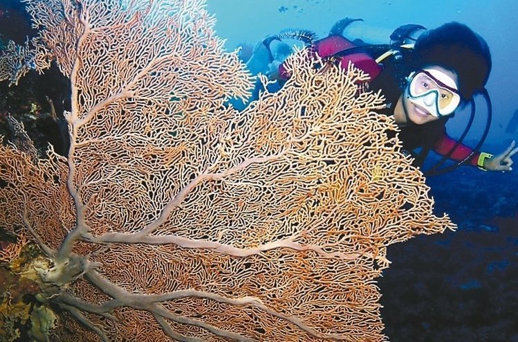 �_���m�Zǧ����ȡ����ࡱ ���˞�������D��