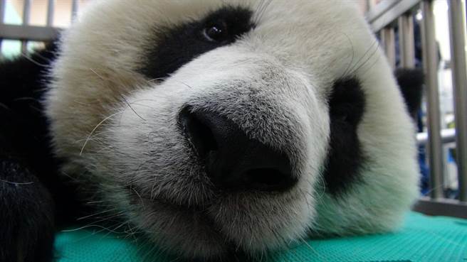 ���A�С��w�z�`����^��Ŀǰ������ų������o(w��)�K�����D/���Еr(sh��)��ӈ�(b��o)����