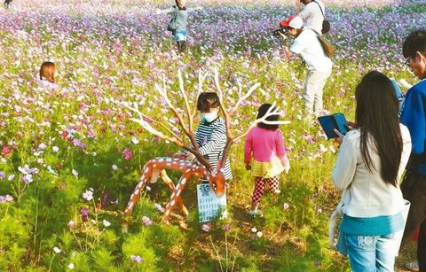 長頸鹿矗立花海中怕被游客坐壞“長刺”自保(圖)