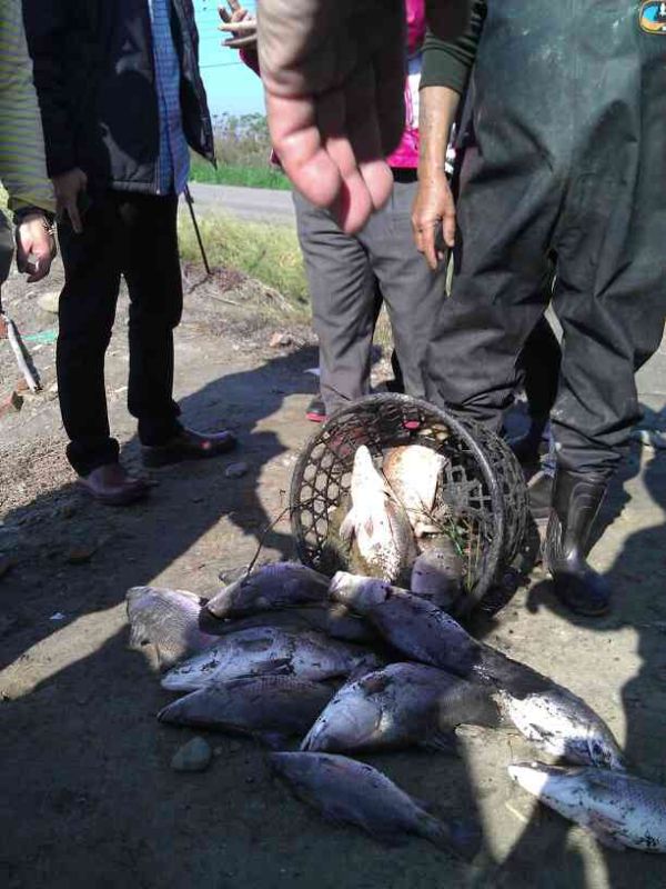 寒流"凍傷"漁民 養(yǎng)殖者不敢問價(jià)只求魚被帶走 寒流"凍傷"漁民 養(yǎng)殖者不敢問價(jià)只求魚被帶走